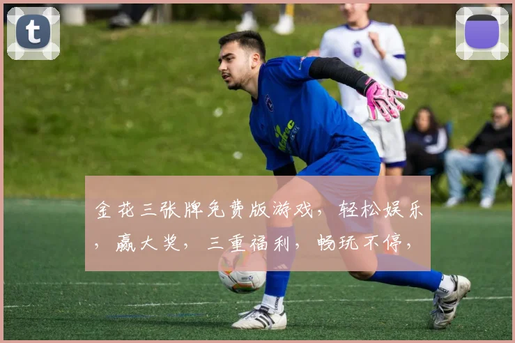 金花三张牌免费版游戏，轻松娱乐，赢大奖，三重福利，畅玩不停，快来体验